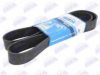 BTA B08-10PK1505 V-Ribbed Belts